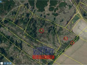 Prodej lesa, Volfířov - Řečice, 12476 m2