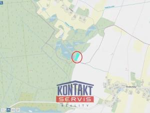 Prodej lesa, Suchdol nad Lužnicí, 4550 m2