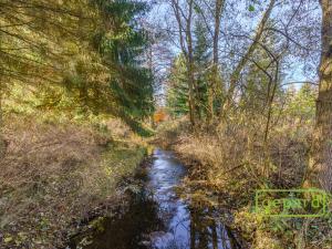 Prodej rybníku, Bochov - Dlouhá Lomnice, 5195 m2