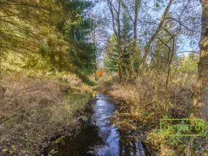 Prodej rybníku, Bochov - Dlouhá Lomnice, 5195 m2