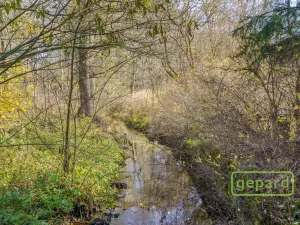 Prodej rybníku, Bochov - Dlouhá Lomnice, 5195 m2