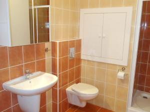 Prodej bytu 1+kk, Plzeň - Jižní Předměstí, Goldscheiderova, 38 m2