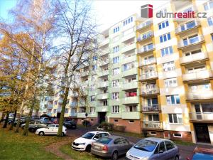 Pronájem bytu 1+1, Sokolov, Švabinského, 42 m2