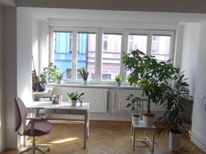 Pronájem kanceláře, Valašské Meziříčí, Mostní, 19 m2