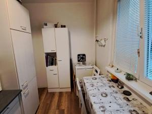 Pronájem bytu 2+1, Rotava, Sídliště, 56 m2