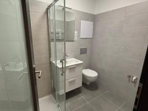 Pronájem bytu 1+kk, Písek, Vladislavova, 24 m2