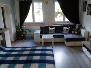 Pronájem bytu 1+kk, Loučany, 45 m2