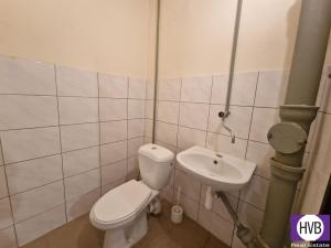 Pronájem skladu, Praha, Přecechtělova, 16 m2