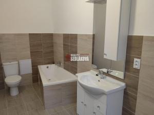 Pronájem bytu 1+1, Děčín - Děčín II-Nové Město, Horská, 42 m2