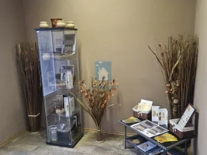 Pronájem kanceláře, Praha, Bohuslava ze Švamberka, 70 m2