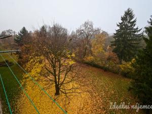 Pronájem bytu 3+1, Brno, Vysoká, 58 m2