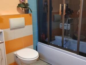 Prodej bytu 3+kk, Bruntál, Nádražní, 143 m2