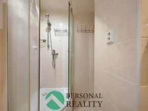 Pronájem bytu 1+1, Sokolov, Švabinského, 36 m2