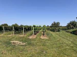 Prodej vinného sklepa, Prušánky, 88 m2