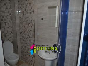 Pronájem bytu 1+1, České Budějovice - České Budějovice 6, Mánesova, 42 m2