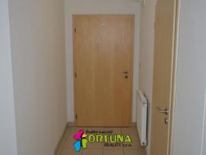 Pronájem bytu 1+1, České Budějovice - České Budějovice 6, Mánesova, 42 m2