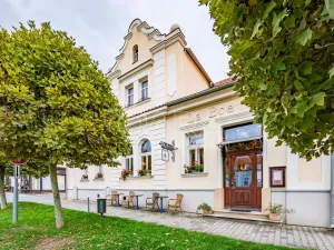 Prodej rodinného domu, Radnice, Pivovarská, 377 m2