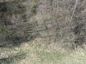 Prodej pozemku pro bydlení, Heřmanov - Fojtovice, 4280 m2