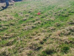 Prodej pozemku pro bydlení, Heřmanov - Fojtovice, 1146 m2