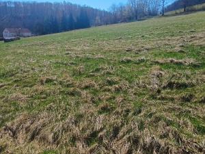 Prodej pozemku pro bydlení, Heřmanov - Fojtovice, 1819 m2