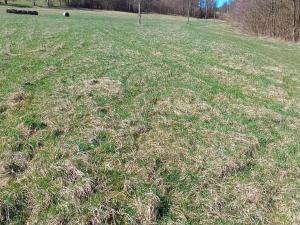 Prodej pozemku pro bydlení, Heřmanov - Fojtovice, 4050 m2