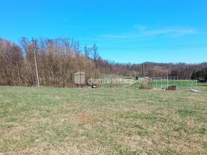 Prodej pozemku pro bydlení, Heřmanov - Fojtovice, 1246 m2