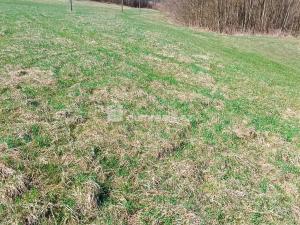 Prodej pozemku pro bydlení, Heřmanov - Fojtovice, 1246 m2