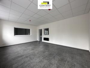 Pronájem výrobních prostor, Tábor - Čekanice, 1300 m2