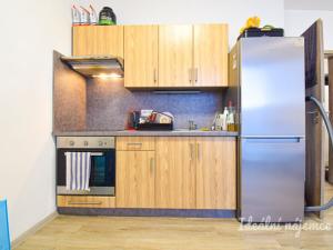 Pronájem bytu 1+kk, Brno, Svitavská, 33 m2