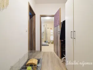 Pronájem bytu 1+kk, Brno, Svitavská, 33 m2