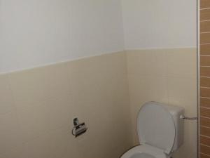 Pronájem bytu 2+1, Pardubice - Zelené Předměstí, Sladkovského, 61 m2