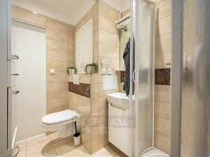 Pronájem bytu 2+1, České Budějovice - České Budějovice 3, Kostelní, 62 m2