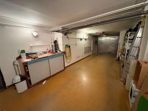 Pronájem rodinného domu, Praha - Motol, Bedrnova, 210 m2