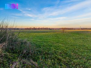 Prodej pozemku pro bydlení, Komorní Lhotka, 1959 m2