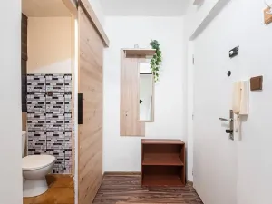 Pronájem bytu 1+kk, Pardubice, Prodloužená, 30 m2