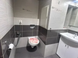 Prodej bytu 3+1, Bílina - Teplické Předměstí, Teplická, 61 m2