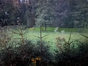 Prodej pole, Levínská Olešnice, 8891 m2