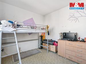 Prodej bytu 3+1, Ústí nad Labem - Krásné Březno, Družstevní, 65 m2