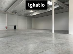 Pronájem skladu, Praha - Horní Počernice, F.V.Veselého, 4766 m2