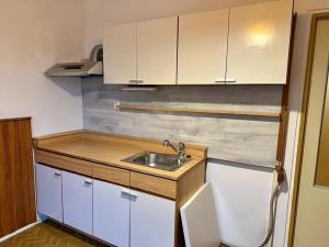 Pronájem bytu 1+1, Vysoké Mýto, Větrná, 30 m2