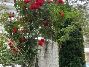 Prodej bytu 3+kk, Nesebar, Bulharsko, 84 m2