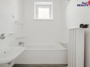 Prodej rodinného domu, Háj ve Slezsku, Na Hájku, 260 m2