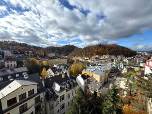 Prodej bytu 2+1, Karlovy Vary, Petřín, 60 m2