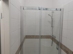 Pronájem bytu 2+1, Praha - Žižkov, Hartigova, 57 m2