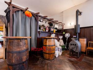 Prodej restaurace, Mařenice - Dolní Světlá, 424 m2