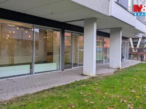 Pronájem kanceláře, Praha, Jankovcova, 58 m2