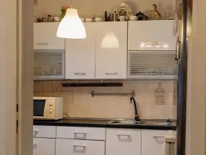 Prodej bytu 2+1, Nový Jičín, Máchova, 43 m2