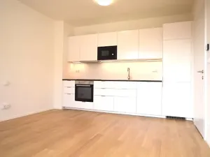 Pronájem bytu 1+kk, Praha - Lysolaje, Lysolajské údolí, 30 m2