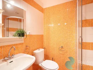 Prodej chalupy, Benešov nad Černou, 295 m2