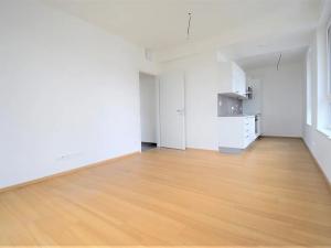 Pronájem bytu 2+kk, Praha - Libuš, Novodvorská, 50 m2